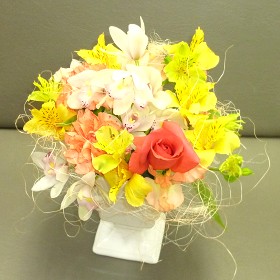 �t�����[�A�����W�����g