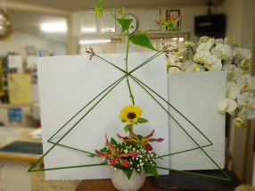 �t�����[�A�����W�����g