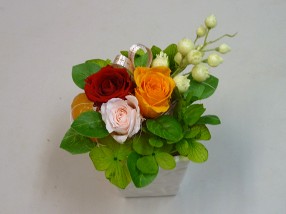 �t�����[�A�����W�����g