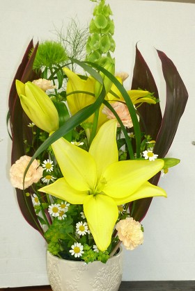 �t�����[�A�����W�����g