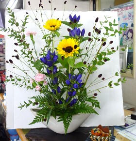 �t�����[�A�����W�����g