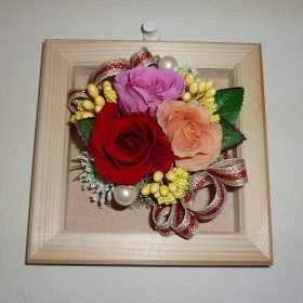 �t�����[�A�����W�����g