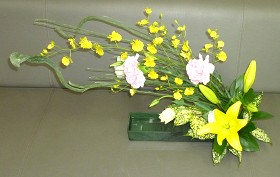 �t�����[�A�����W�����g