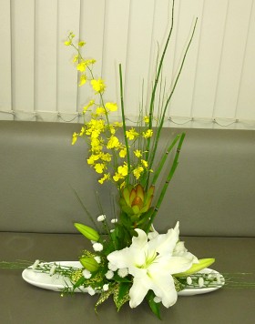 �t�����[�A�����W�����g